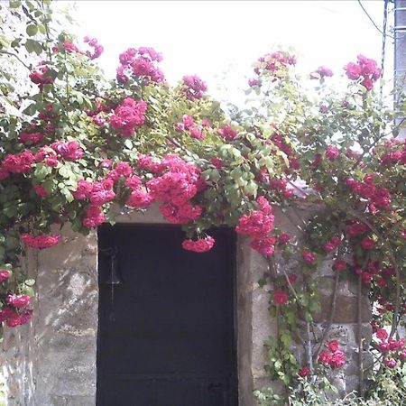 הוילה Moisenay Les Maharanis מראה חיצוני תמונה