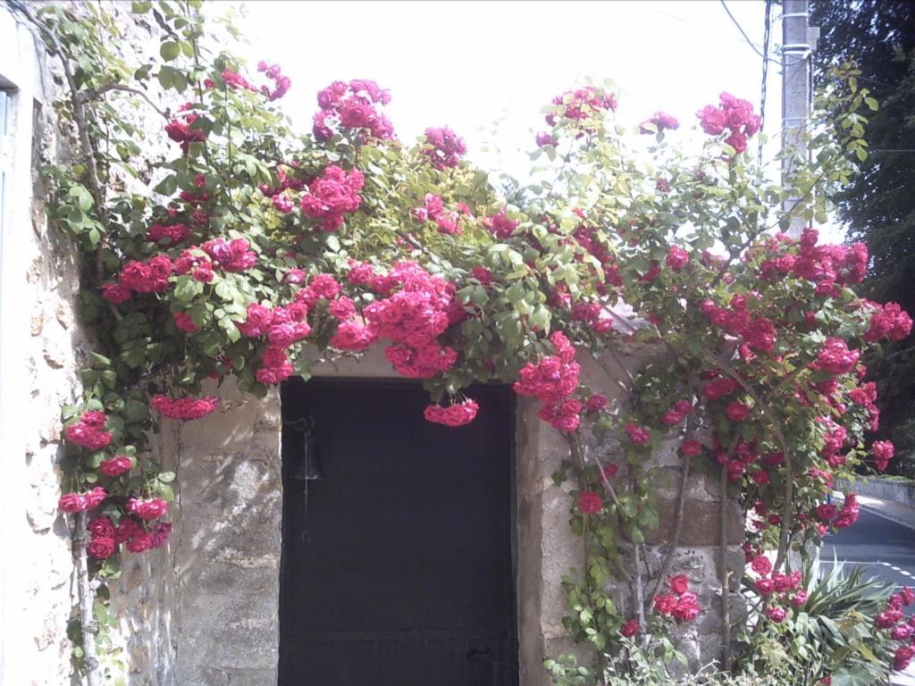 הוילה Moisenay Les Maharanis מראה חיצוני תמונה